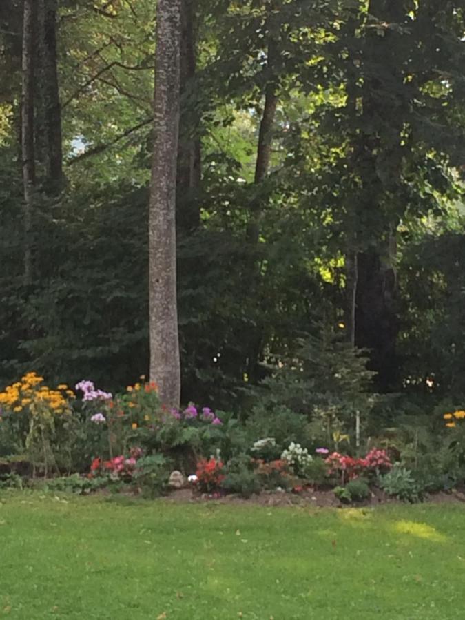 Fewo Schlosspark Grubhof Sankt Martin bei Lofer Zewnętrze zdjęcie